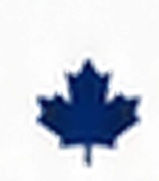 Canadian owned and trusted icon